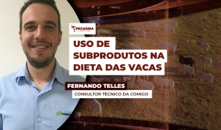 Fernando Telles - Consultor Técnico da COMIGO