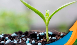 Jeferson Souza - Analista de Fertilizantes da Agrinvest