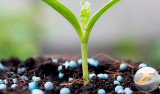 Paulo Dejalma Zimmer - Consultor em Agronegócio