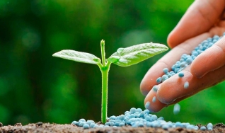 Eduardo Monteiro - Vice-Presidente Comercial da Mosaic Fertilizantes
