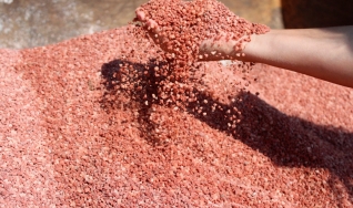 Com foco em sustentabilidade e em elevar patamares de produtividade agropecuária, Mosaic Fertilizantes apresenta linha MPasto na Agrishow 2022