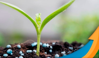 Jeferson Souza - Analista de Fertilizantes da Agrinvest