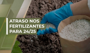 Luís Arruda - Diretor de Distribuição da Mosaic