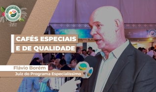 Flavio Meira Borém, Professor da UFLA