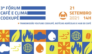 Cenários do clima e impactos das condições meteorológicas na safra de café.