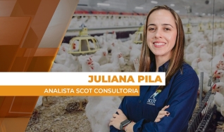 Juliana Pila - Analista Scot Consultoria