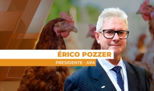 Érico Pozzer - Presidente - APA