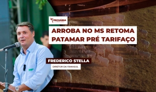 Frederico Stella - Diretor da Famasul
