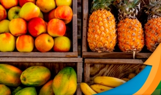 Guilherme Coelho - Presidente da Abrafrutas