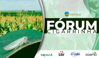 Fórum da cigarrinha