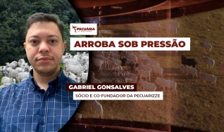 Gabriel Gonsalves - Sócio e Co-Fundador da Pecuarizze