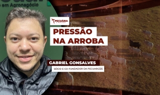 Gabriel Gonsalves - Sócio e Co-Fundador da Pecuarizze