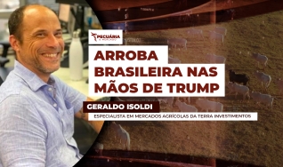 Geraldo Isoldi - Especialista em Mercados Agrícolas da Terra Investimentos