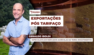 Geraldo Isoldi - Especialista em Mercados Agrícolas da Terra Investimentos