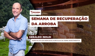Geraldo Isoldi - Especialista em Mercados Agrícolas da Terra Investimentos