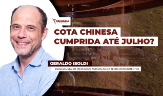 Geraldo Isoldi - Especialista em Mercados Agrícolas da Terra Investimentos