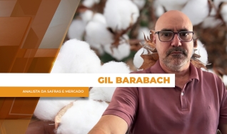 Gil Barabach - Analista da Safras e Mercado