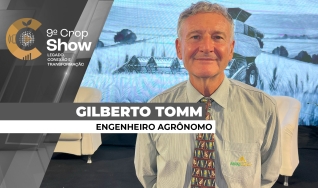 Gilberto Tomm - Engenheiro Agrônomo