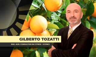 Gilberto Tozatti - Eng. Agr. Consultor em Citros - GCONCI
