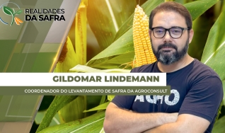 Gildomar Lindemann - Coordenador do Levantamento de Safra da Agroconsult