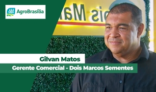 Gilvan Matos Gerente Comercial - Dois Marcos Sementes