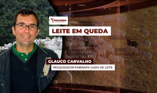 Glauco Carvalho - Pesquisador Embrapa Gado de Leite