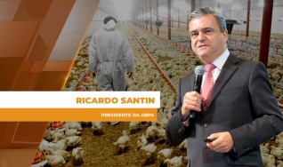 Ricardo Santin - Presidente da ABPA