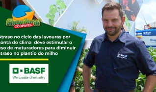 Guilherme Vigilato, Agrônomo desenvolvedor de mercado - BASF
