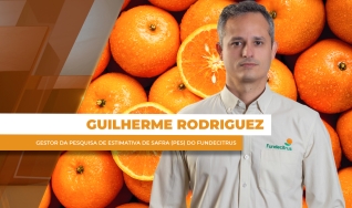 Guilherme Rodriguez - Gestor da Pesquisa de Estimativa de Safra (PES) do Fundecitrus