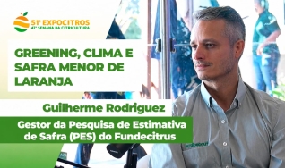 Guilherme Rodriguez Gestor da Pesquisa de Estimativa de Safra (PES) do Fundecitrus