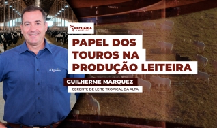 Guilherme Marquez - Gerente de Leite Tropical da Alta