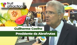 Guilherme Coelho