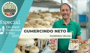 Gumercindo Ferreira Pinto Neto - Fazenda Velha