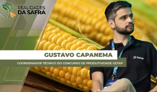 Gustavo Capanema - Coordenador Técnico do Concurso de Produtividade Getap