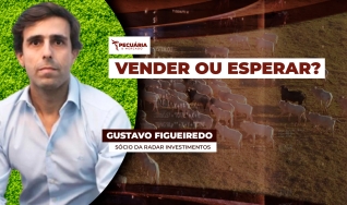 Gustavo Figueiredo - Sócio da Radar Investimentos