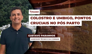 Gustavo Paranhos - Assessor Técnico da Connan