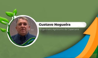 Entrevista com Gustavo Nogueira - Engenheiro agrônomo da Copercana