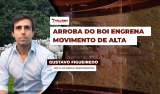Gustavo Figueiredo - Sócio da Radar Investimentos