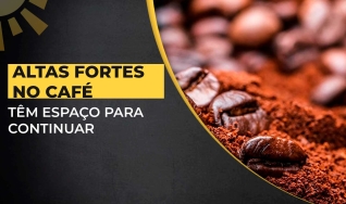 Haroldo Bonfá - Analista de Mercado e Diretor da Pharos Consultoria