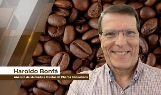 Haroldo Bonfá - Analista de Mercado e Diretor da Pharos Consultoria
