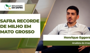 Henrique Eggers - Analista do Imea