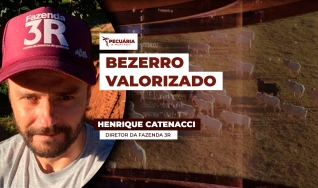 Henrique Catenacci - Diretor da Fazenda 3R
