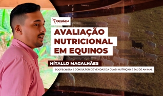 Hítallo Magalhães - Zootecnista e Consultor de Vendas da Guabi Nutrição e Saúde Animal