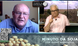 Milho com exportações do Brasil abaixo das expectativas
