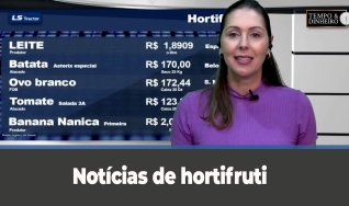 Tempo e dinheiro