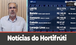 Tempo e dinheiro