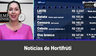 Tempo e dinheiro