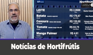Tempo e dinheiro