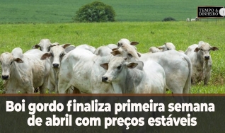 Tempo e dinheiro