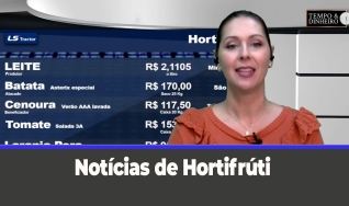 Tempo e dinheiro
